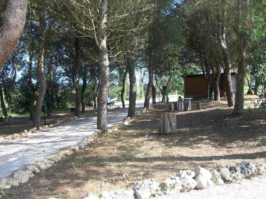 Appartamenti Turistici Aprile Antonio Luigi Borgagne Εξωτερικό φωτογραφία