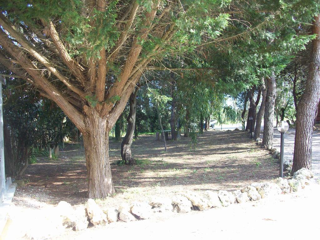 Appartamenti Turistici Aprile Antonio Luigi Borgagne Εξωτερικό φωτογραφία